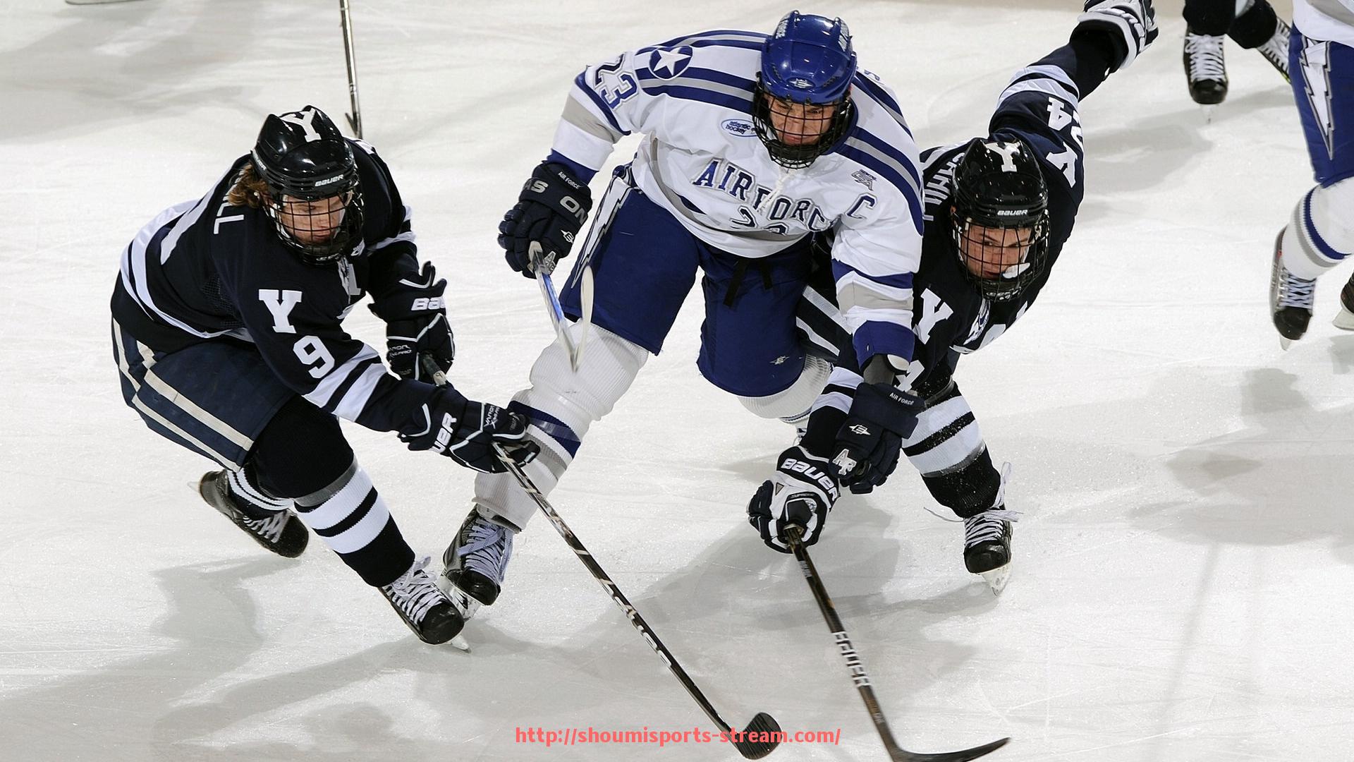 收米体育直播-意甲国米系球队介绍及其历史渊源分析