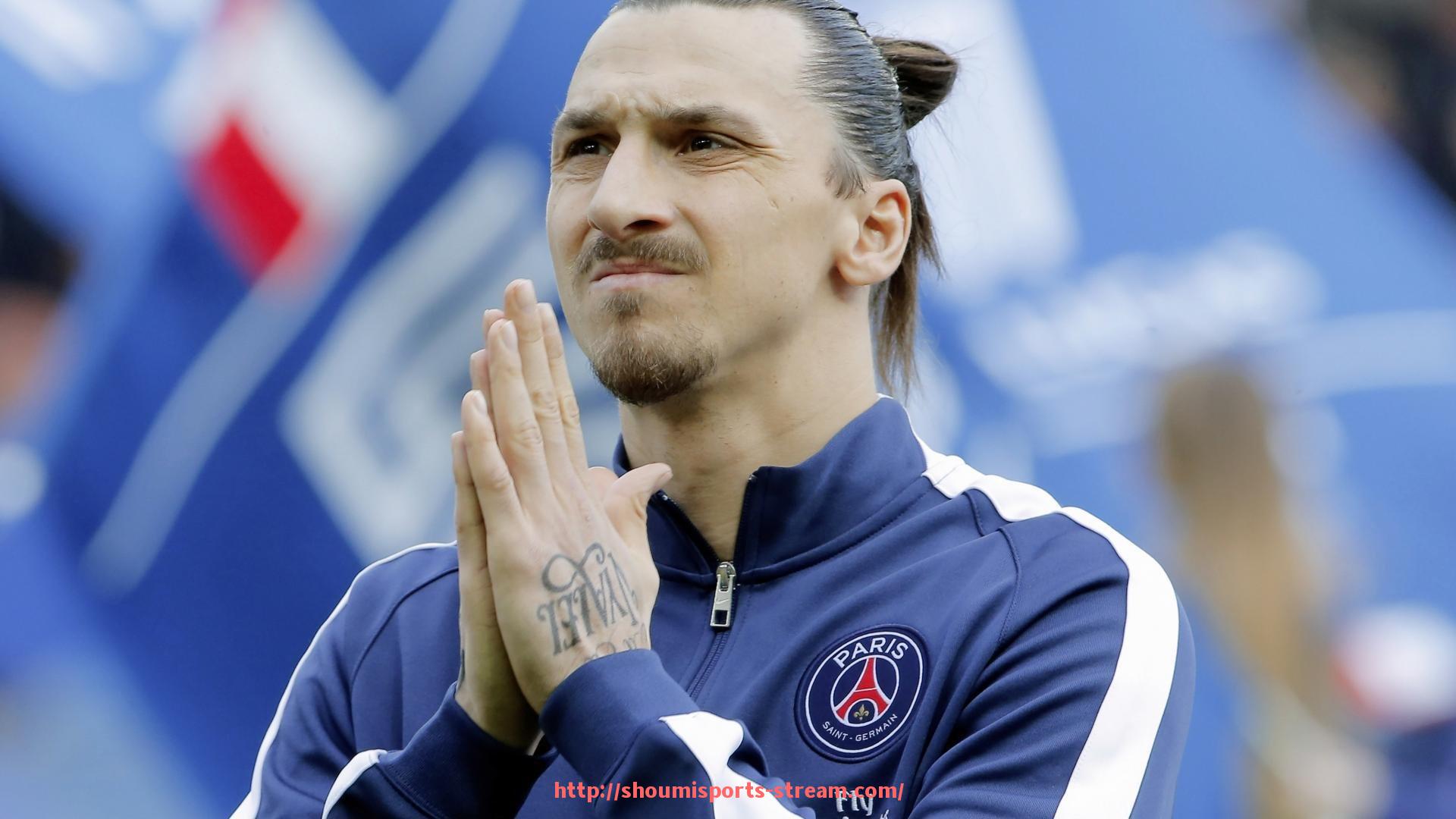 收米体育直播-坐姿背部健身器材推荐与训练方法详解，守护脊柱健康的好帮手